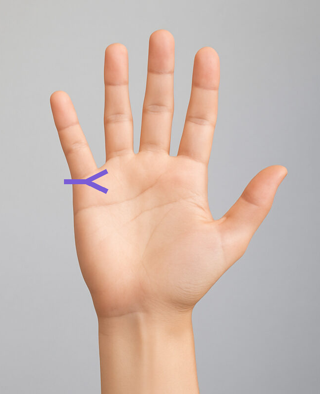 結婚線が終点が二又になるの手相の図