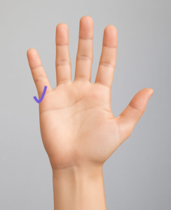 結婚線が小指に向かって跳ね上がっている（上向きのカーブ）の手相の図